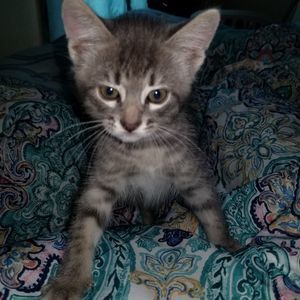 Meet your Posher, Melissa